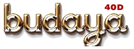 budaya 4d logo